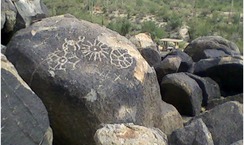 Saguaro national park